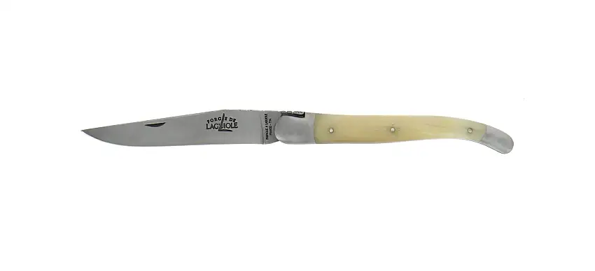Hand engraved, folding knife satin finish, handle in light horn