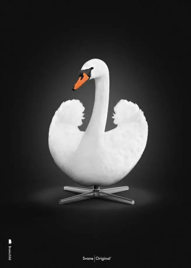 Brainchild Poster A5 – Weißer Schwan mit schwarzem Hintergrund OUTLET