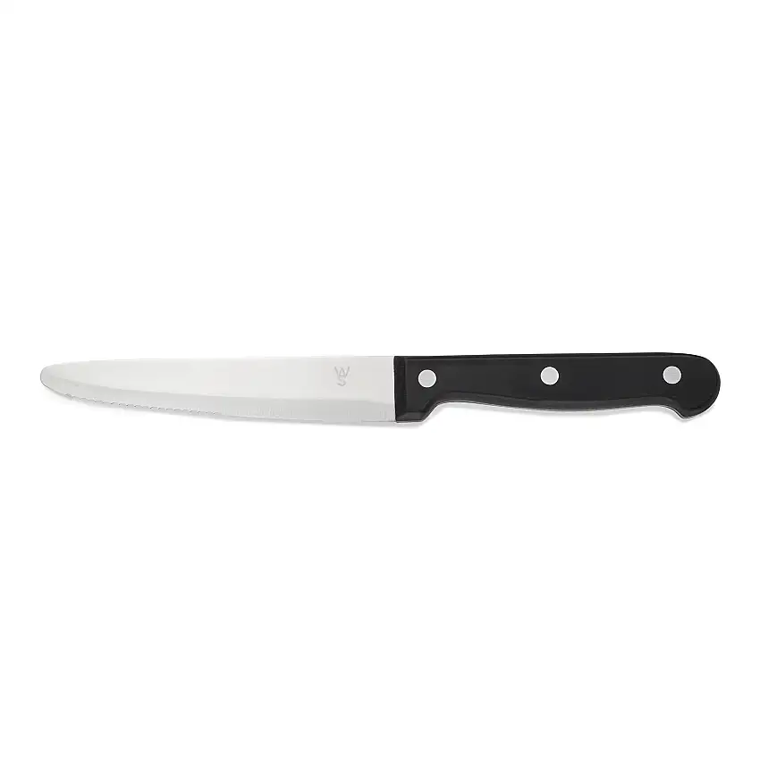 WAS Steakmesser Set mit POM Kunststoffgriff, 25 cm, Set á 6 Stück, Polyoxymethyl