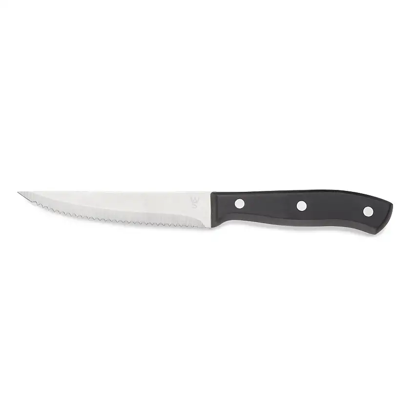 WAS Steakmesser Set mit POM Kunststoffgriff, 23 cm, Set á 6 Stück, Polyoxymethyl