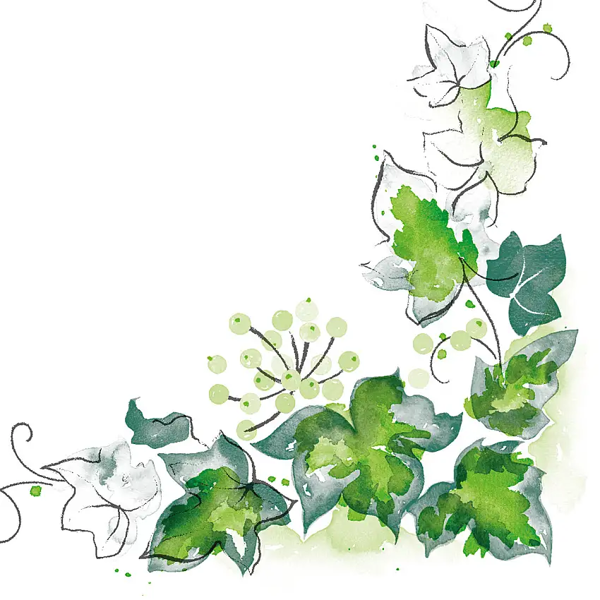 Mank Serviette Elenor 33 x 33 cm 1/4 Falz