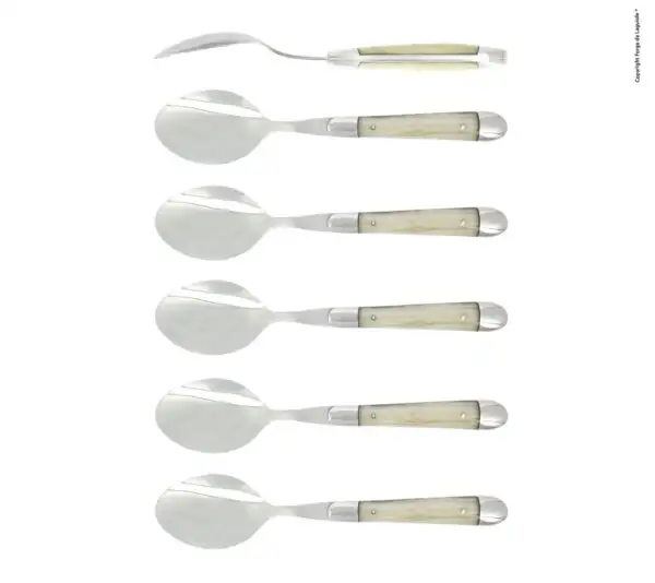 Cuillères à café, brillantes en acrylique opalscent, coffret de 6