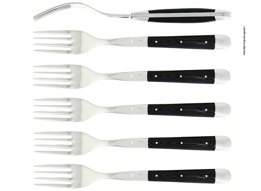 Fourchettes brillantes laguiole en tissu compressé noir, coffret de 6