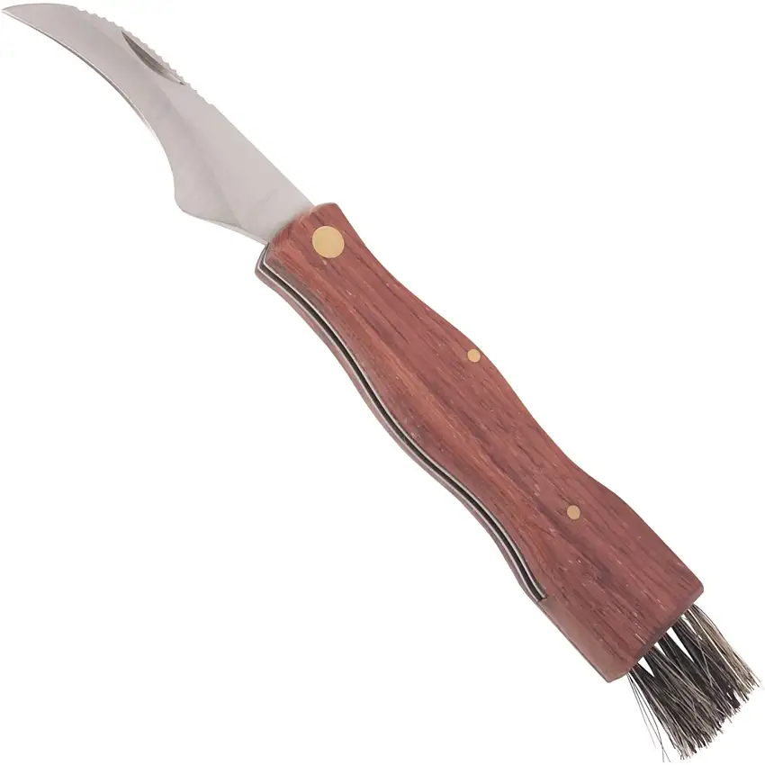 Haller Pilzmesser, incl. Bürste, 420er Stahl, 11 cm