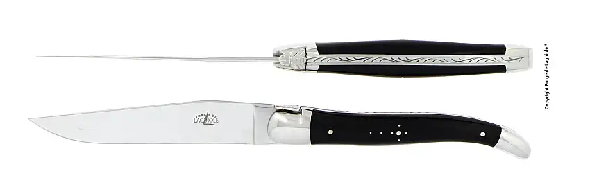 Couteaux de table brillants en corne foncée, coffret de 2