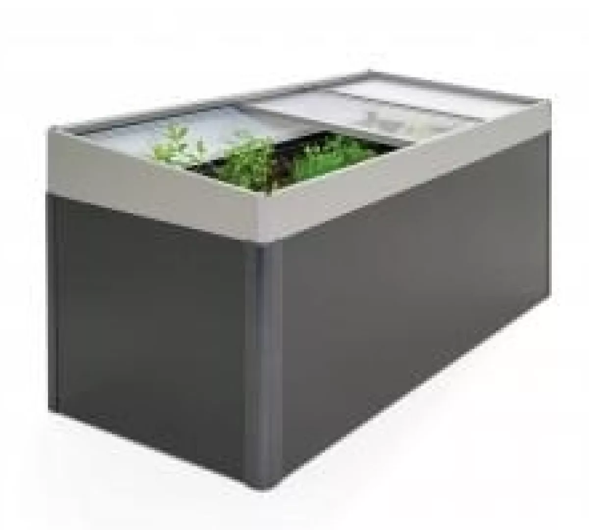 Biohort Frühbeetaufsatz HochBeet 2x1 dunkelgrau-metallic 200x101x23