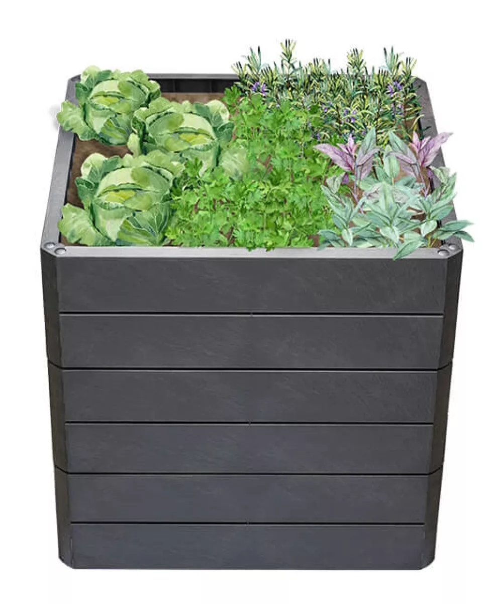 Garantia ERGO QUADRO M 75 Hochbeet Stone inkl. FLORA
