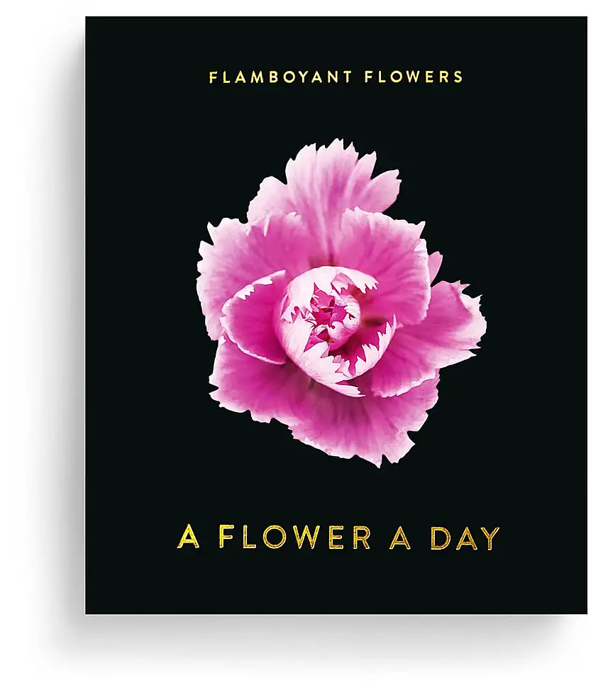 Jahreskalender Flamboyant Flowers