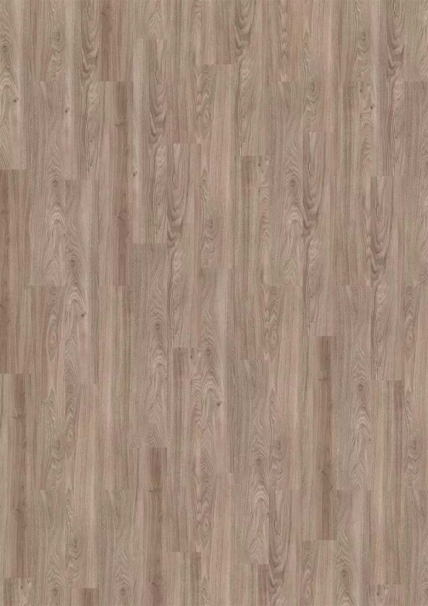 Objectflor Vinylboden Designbelag Expona Commercial 4034 Light Elm 3,34 m²/Paket