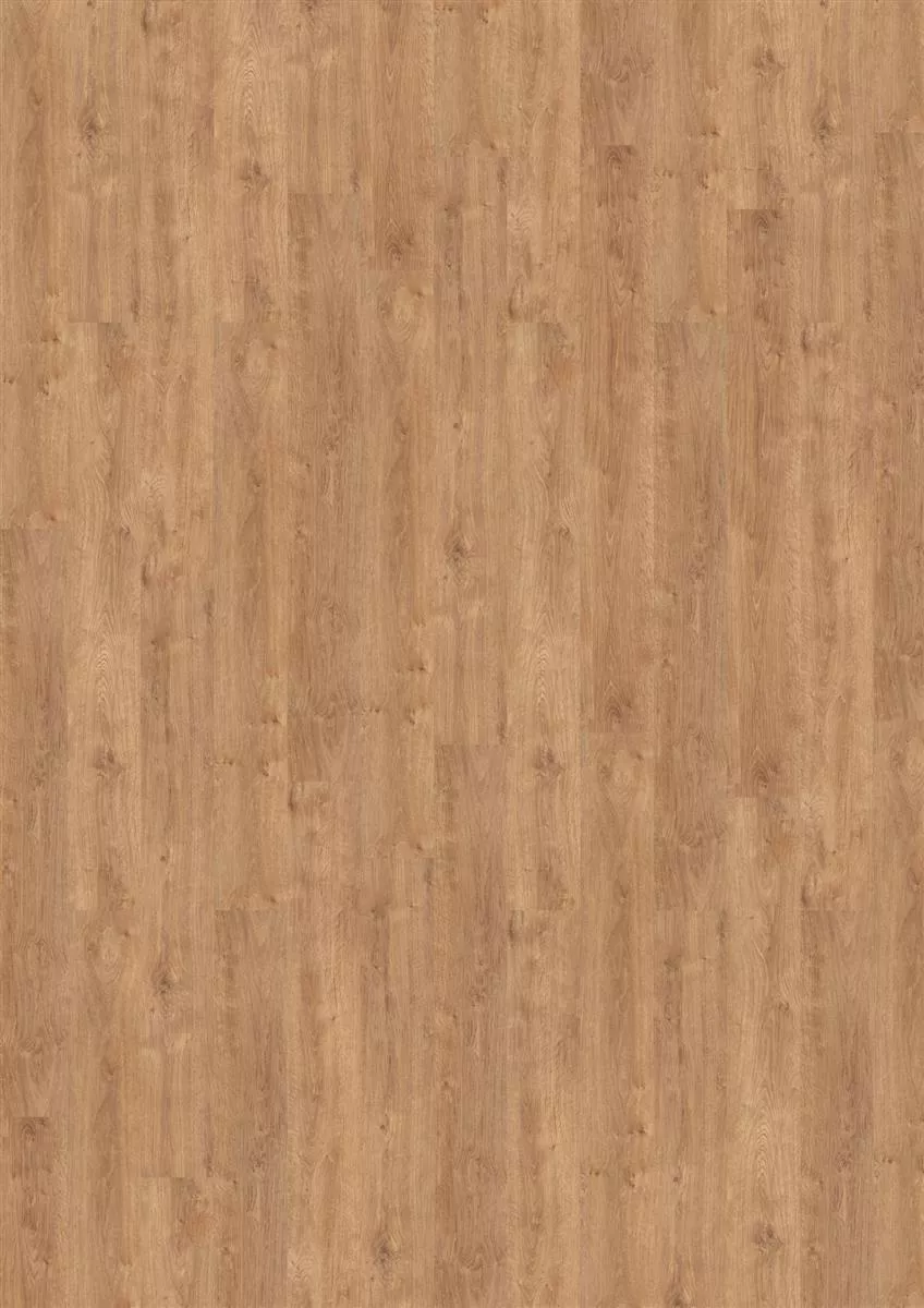 Objectflor Vinylboden Designbelag Expona Commercial 4085 Light Classic Oak 3,34 m²/Paket