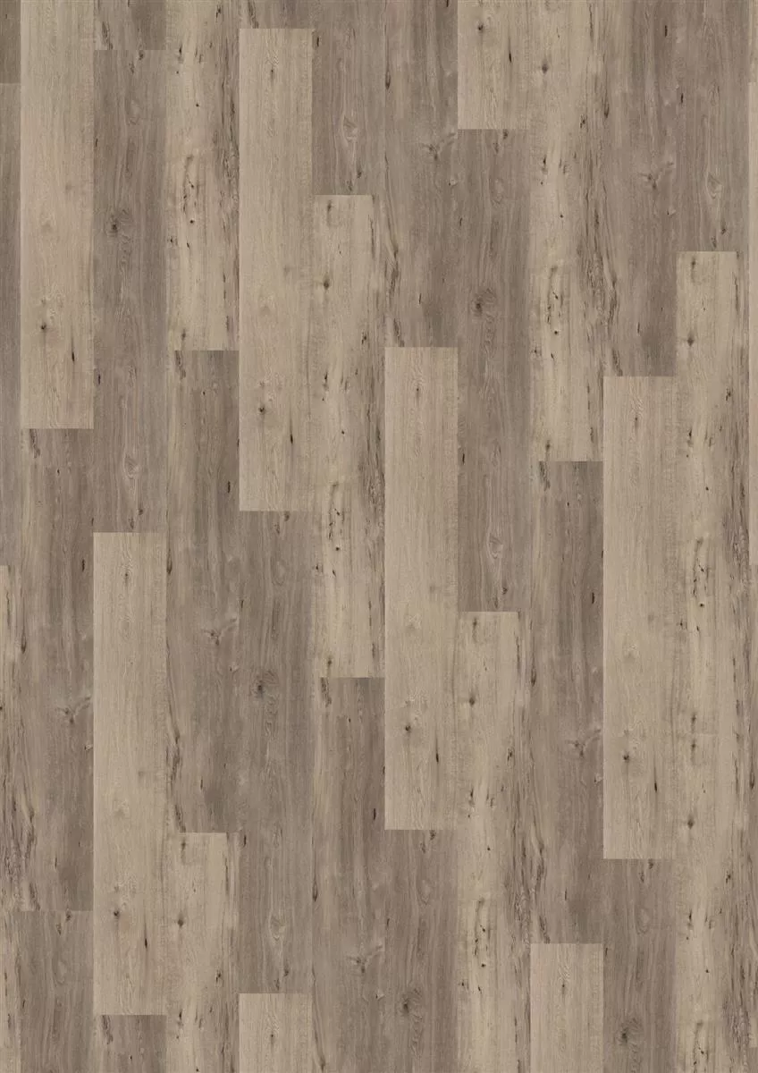 Objectflor Vinylboden Designbelag Expona Living 8003 Dusky Oak 3,37 m²/Paket