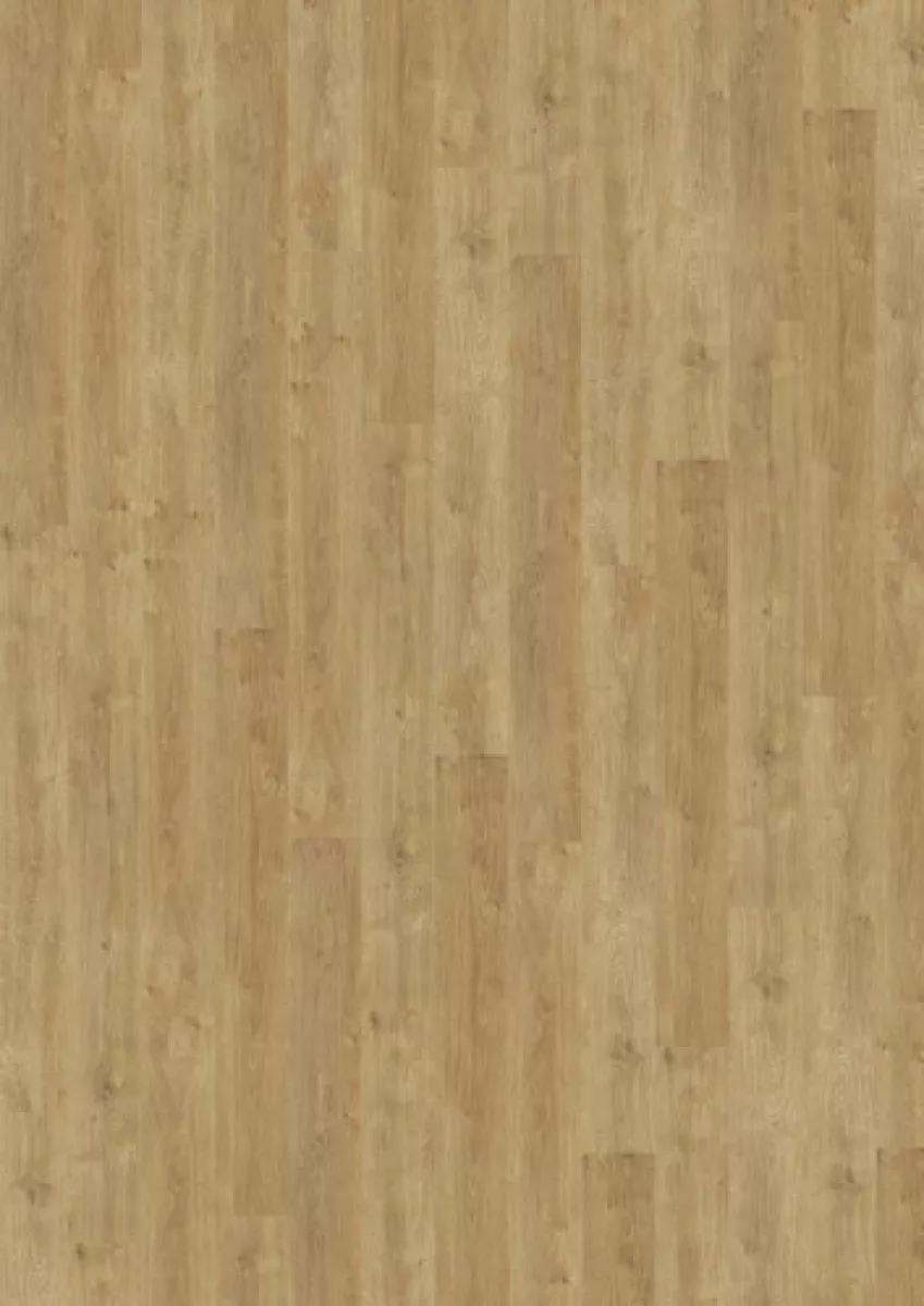 Objectflor Vinylboden Expona Design Dryback 3,0 mm stark Nutzschicht 0,7 mm 6220 Light Classic Oak 3,34 m²