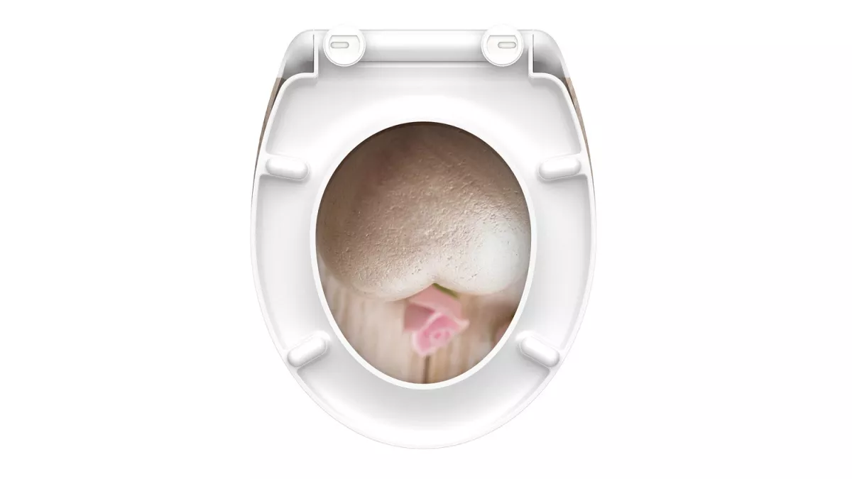 Schütte Duroplast WC-Sitz ROMANTIC, mit Absenkautomatik & Schnellverschluss